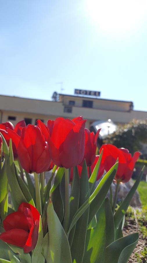 Hotel Vittoria 3*